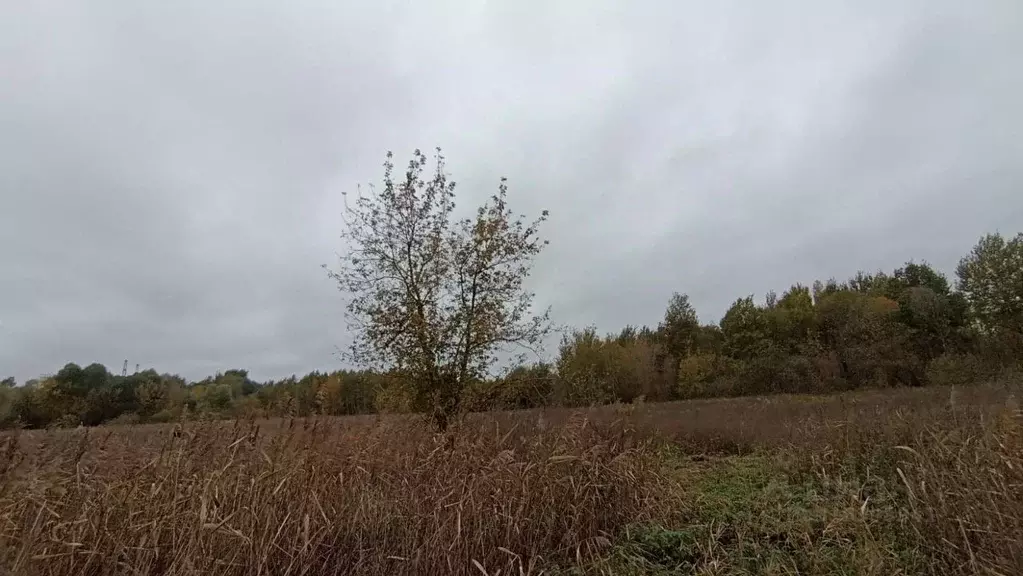 Участок в Московская область, Шатура  (30.0 сот.) - Фото 1