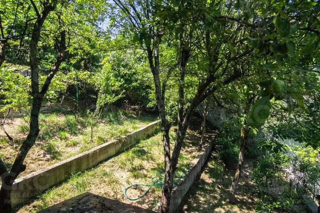 Участок в Краснодарский край, Сочи Турист СНТ, ул. Пятигорская (9.5 ... - Фото 2