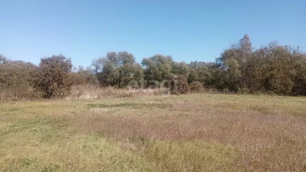 Участок в Еврейская автономная область, Смидовичский район, пос. ... - Фото 1