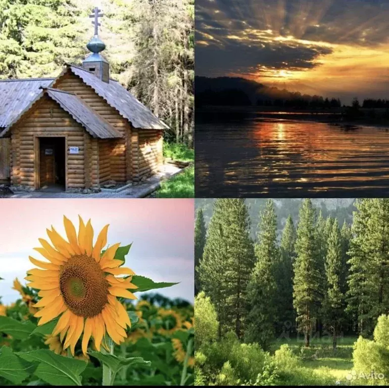 Участок в Нижегородская область, Городецкий муниципальный округ, д. ... - Фото 2