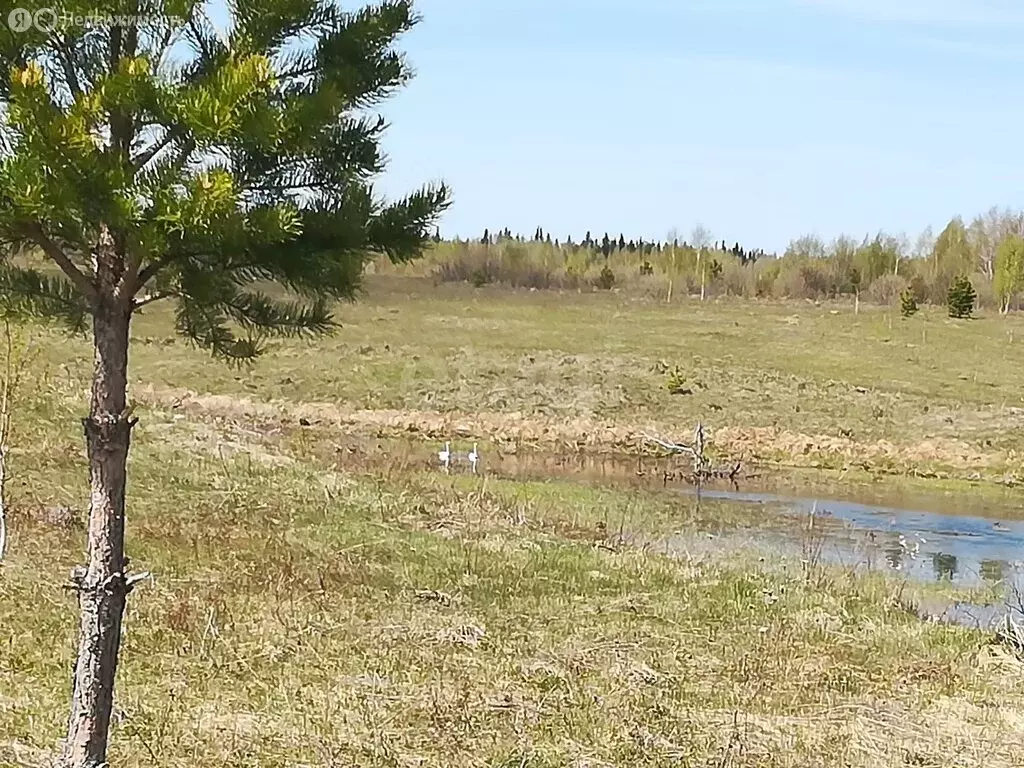 Участок в Тюменская область, Тобольский муниципальный округ, село ... - Фото 2