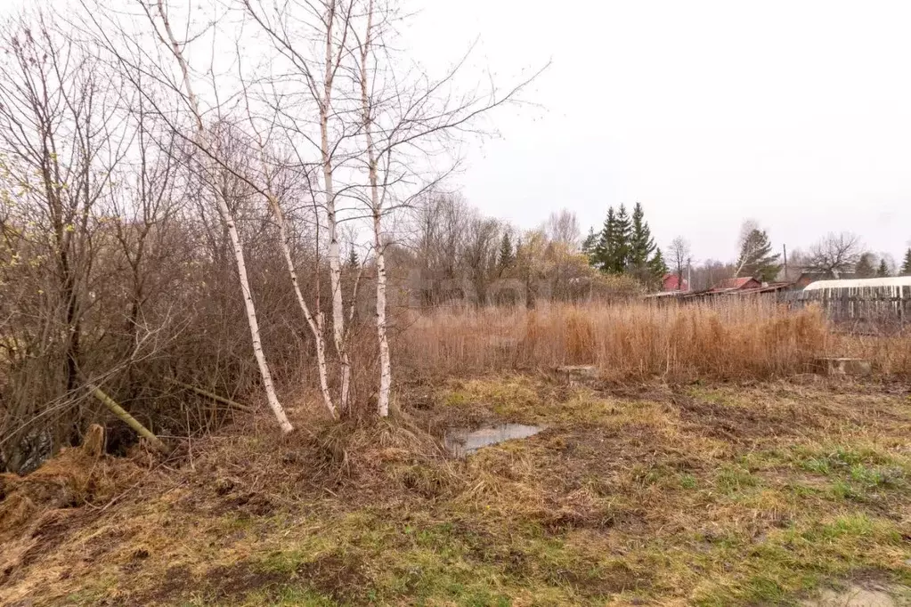 Участок в Тюменская область, Нижнетавдинский муниципальный округ, ... - Фото 1