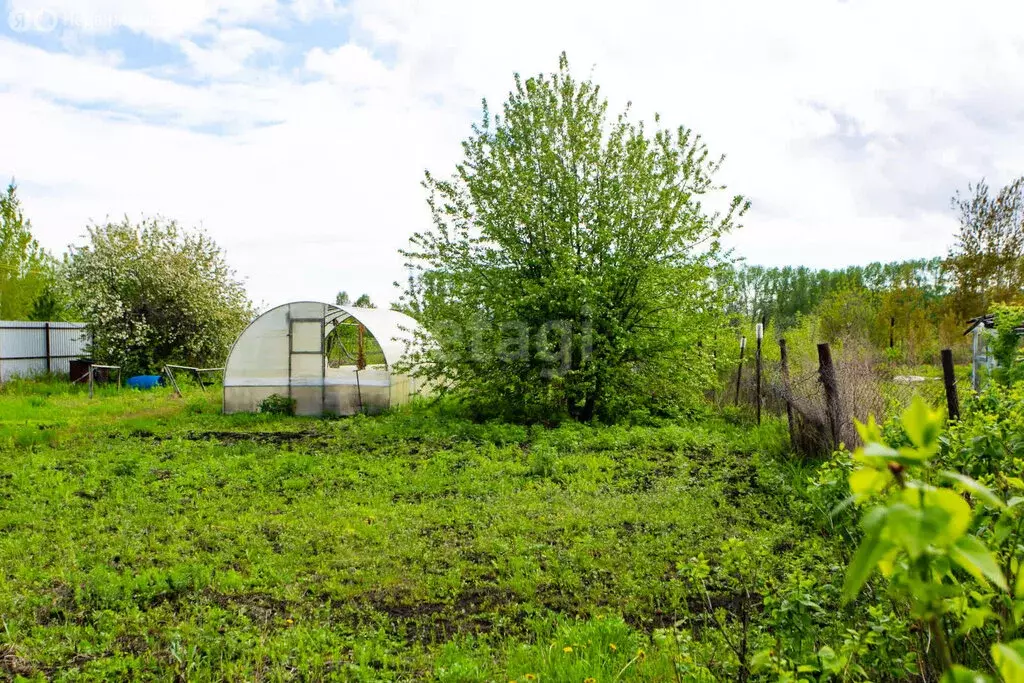 Участок в Новосибирский район, Верх-Тулинский сельсовет, садовое ... - Фото 1