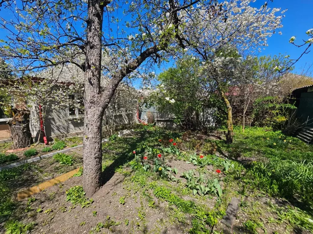 Участок в Ставропольский край, Кисловодск ул. Толстого (10.7 сот.) - Фото 0