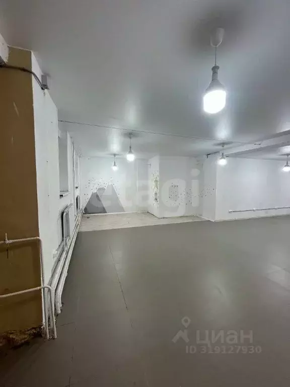 Помещение свободного назначения в Владимирская область, Петушки ... - Фото 0
