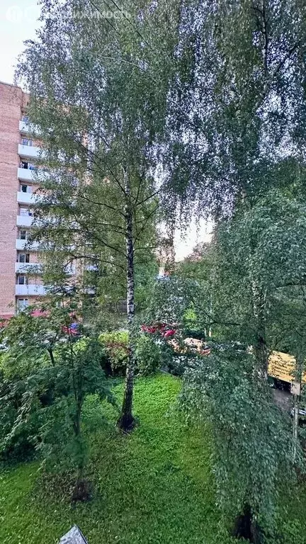 1-комнатная квартира: Реутов, Новая улица, 7 (30.5 м) - Фото 2