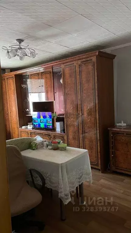 1-к кв. Томская область, Томск ул. Сергея Лазо, 4/2 (17.4 м) - Фото 1