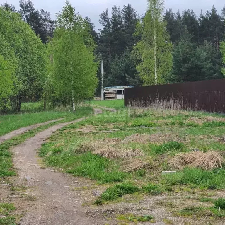 Участок в Псковская область, Печорский муниципальный округ, д. ... - Фото 2