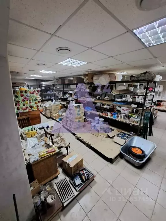 Торговая площадь в Алтайский край, Рубцовск Комсомольская ул., 149Г ... - Фото 1