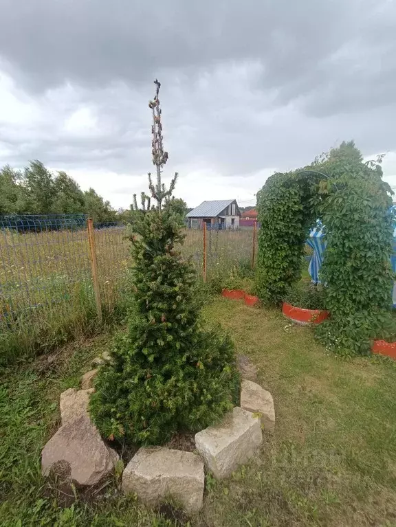 Дом в Новосибирская область, Мошковский район, с. Локти Первомайская ... - Фото 2