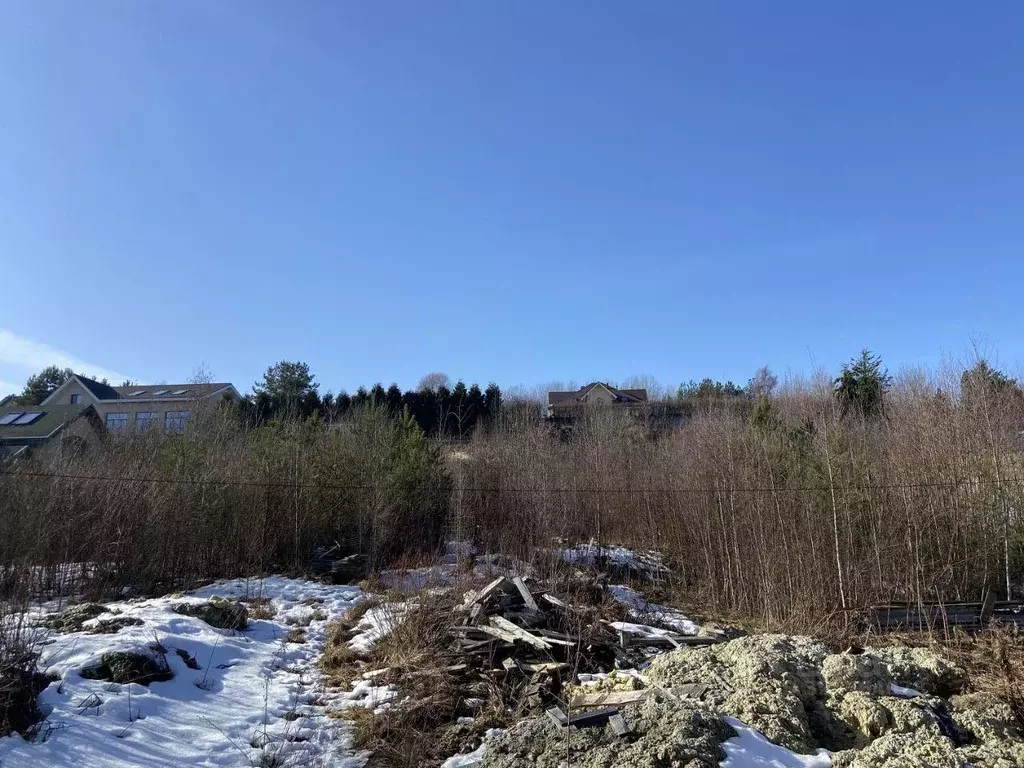 Участок, 25 сот., поселения (ижс) - Фото 2