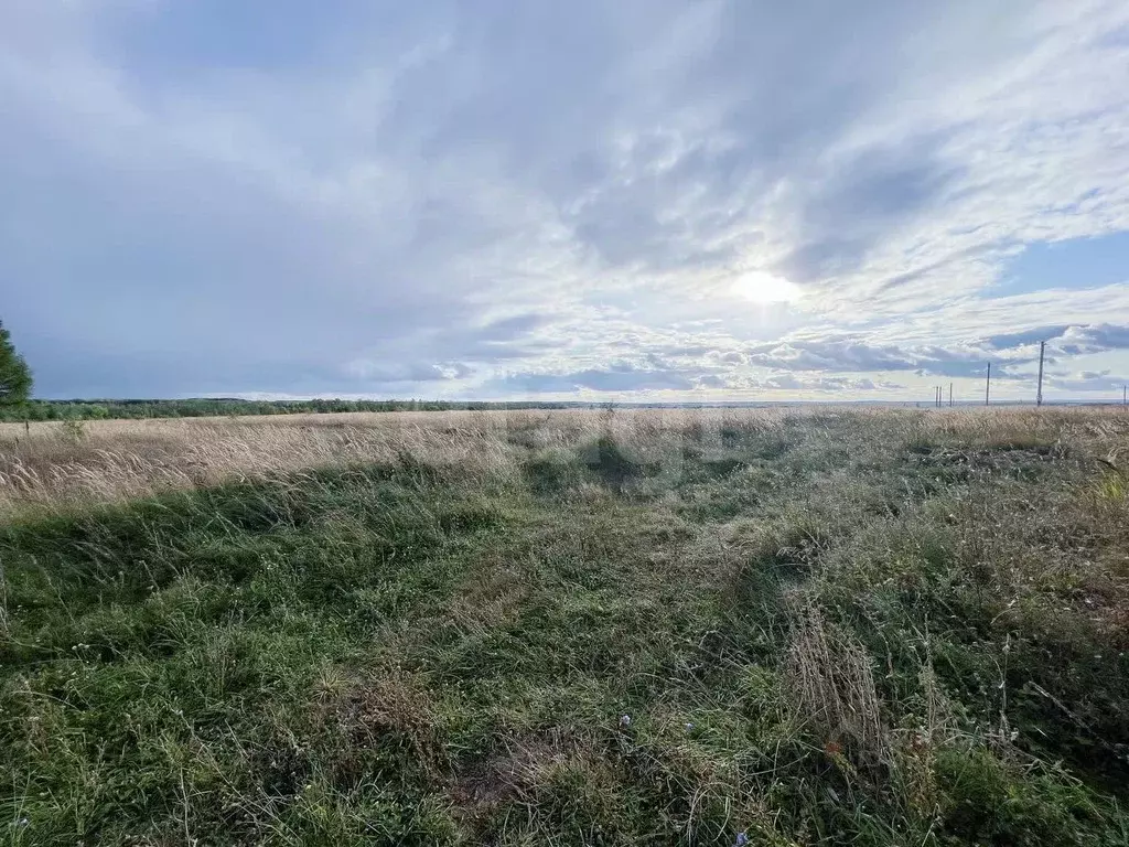 Участок в Мордовия, Саранск  (202.99 сот.) - Фото 0