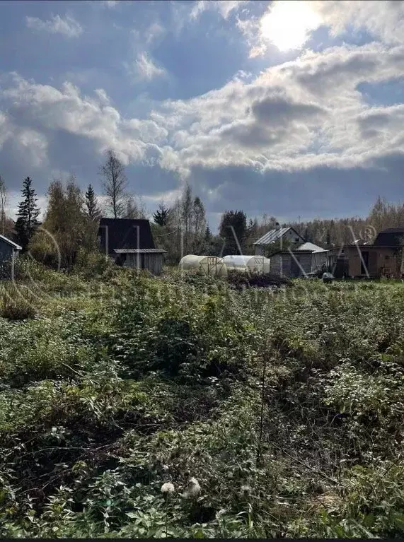 Участок в Ленинградская область, Выборгский район, Рощинское городское ... - Фото 0