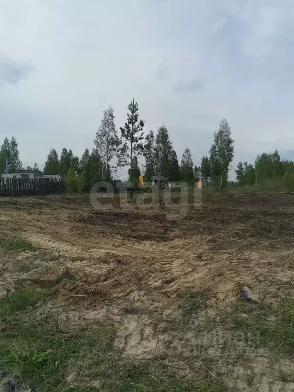 Участок в Тюменская область, Тюменский муниципальный округ, Солнышко ... - Фото 2