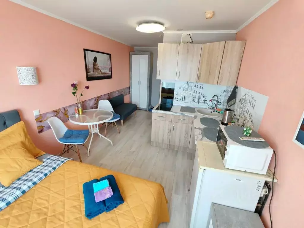 Студия Москва Алтуфьевское ш., 4 (21.0 м) - Фото 2