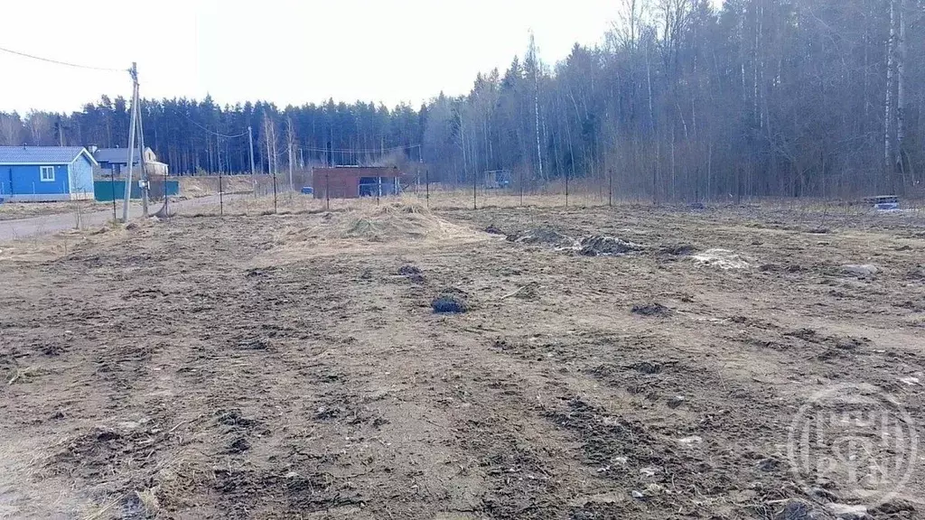 Участок в Ленинградская область, Выборгский район, Рощинское городское ... - Фото 2