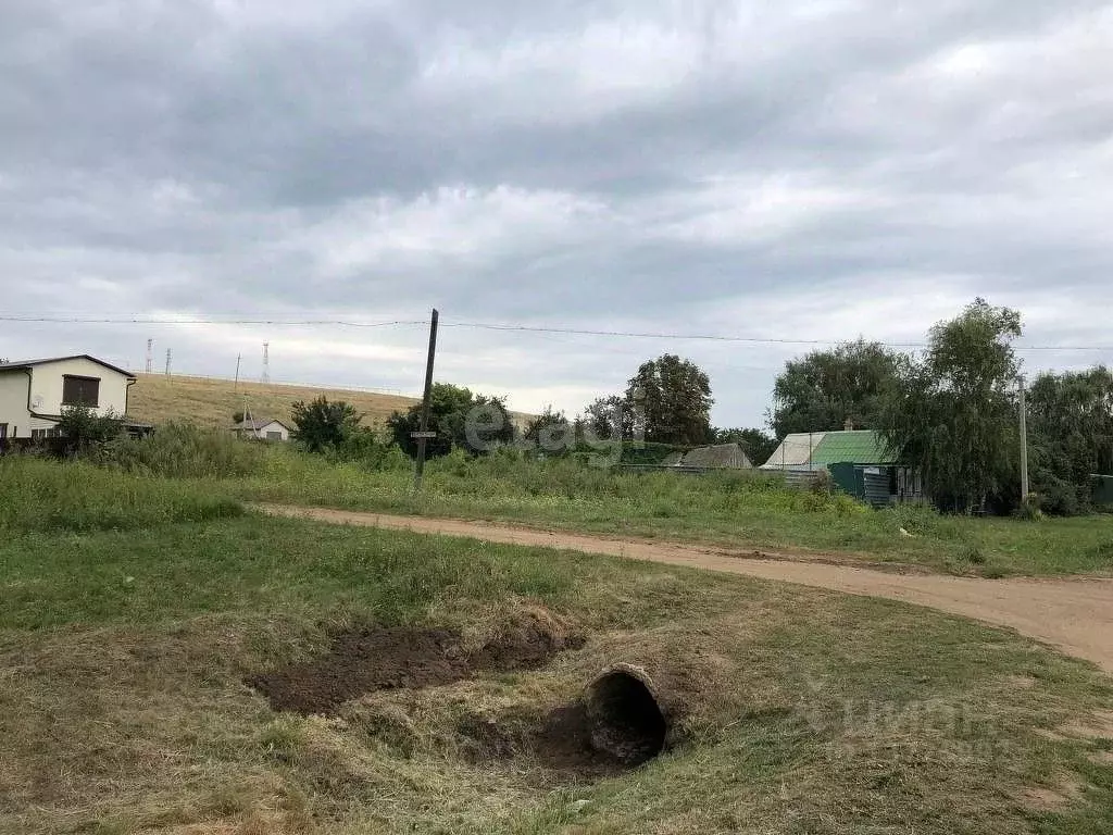 Участок в Саратовская область, Воскресенский район, Елшанское ... - Фото 0