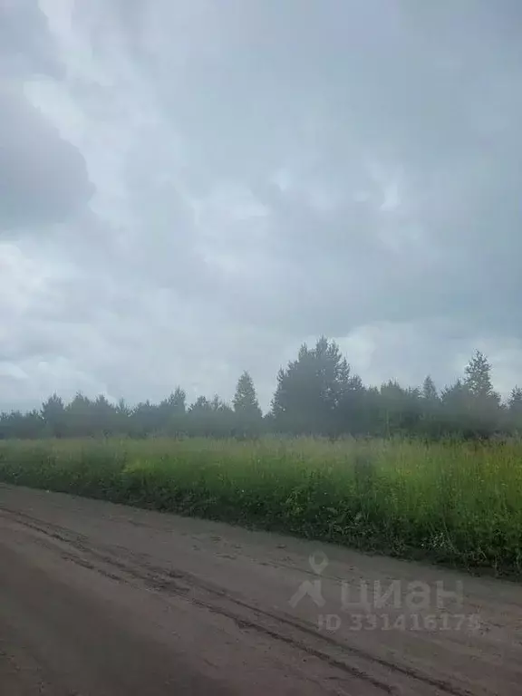 Участок в Курганская область, Кетовский муниципальный округ, с. ... - Фото 1