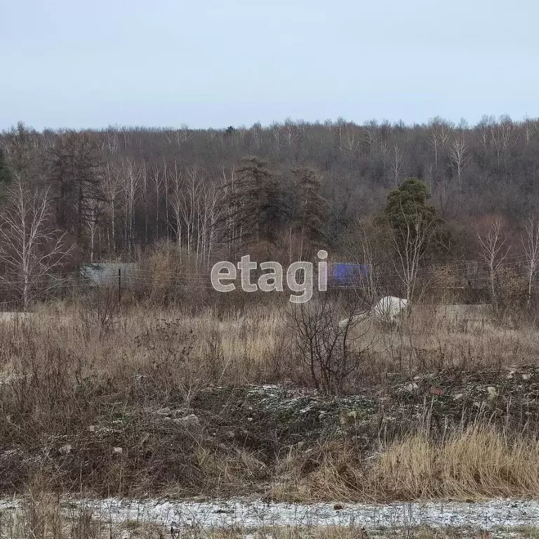 Участок в Мордовия, с. Кочкурово ул. Восточная (20.0 сот.) - Фото 1