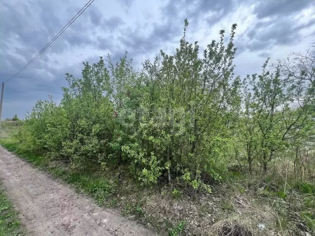 Участок в Белгородская область, Белгород Лира СТ,  (4.6 сот.) - Фото 1