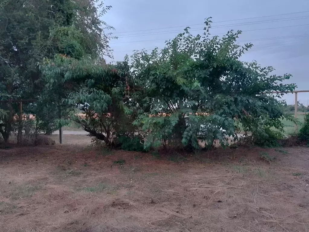 Участок в Краснодарский край, Гулькевичский район, Кубань с/пос, пос. ... - Фото 1