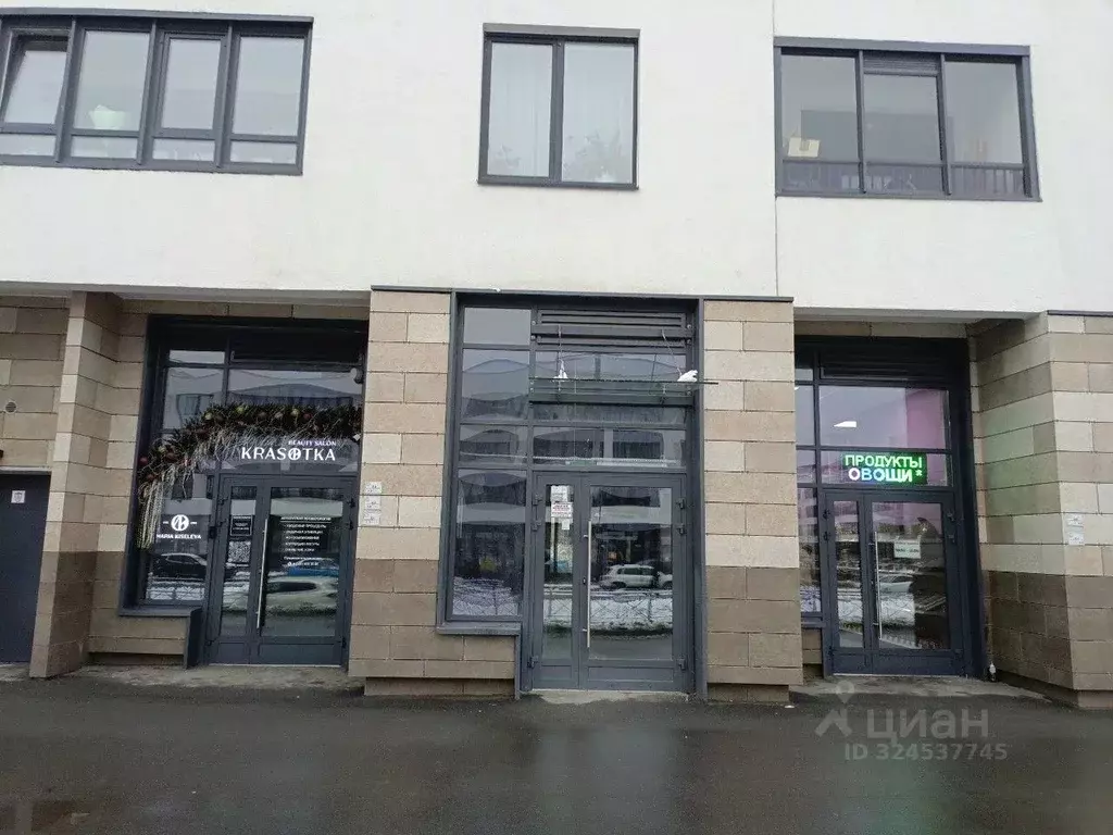 Помещение свободного назначения в Санкт-Петербург ул. Владимира ... - Фото 2