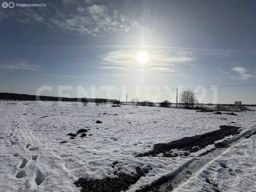 Участок в Отрадное, посёлок Петрушино, Полевая улица (10 м) - Фото 2