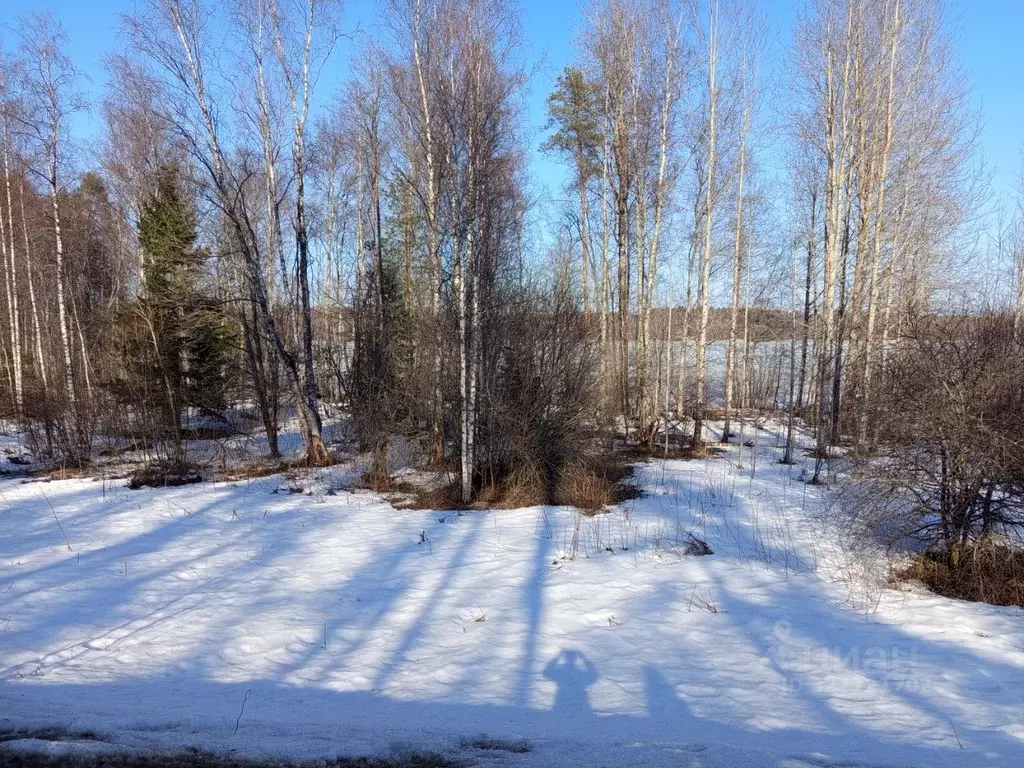 Участок в Новгородская область, Валдайский район, Рощинское с/пос, д. ... - Фото 2