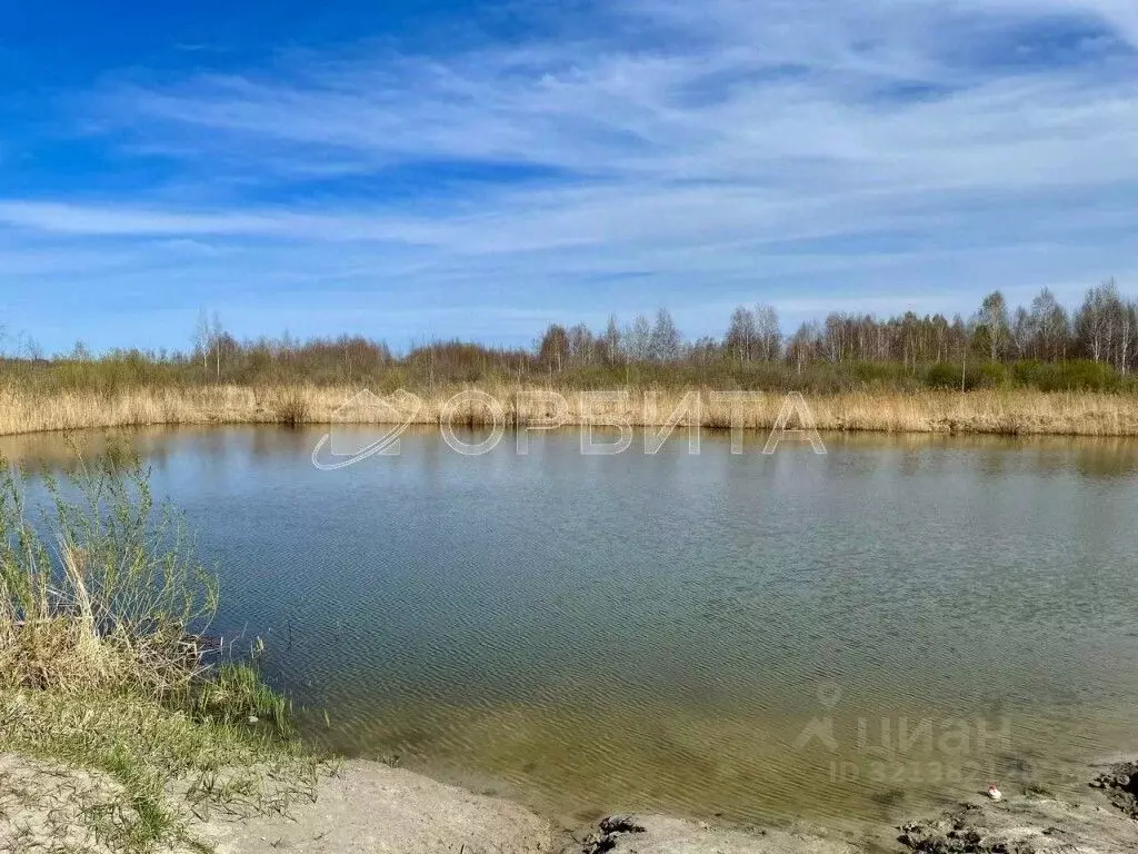 Участок в Тюменская область, Тюмень Царево садовое товарищество, ул. ... - Фото 1