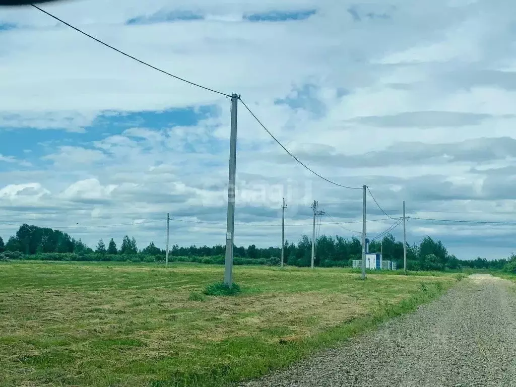 Участок в Тюменская область, Тюменский муниципальный округ, ... - Фото 1