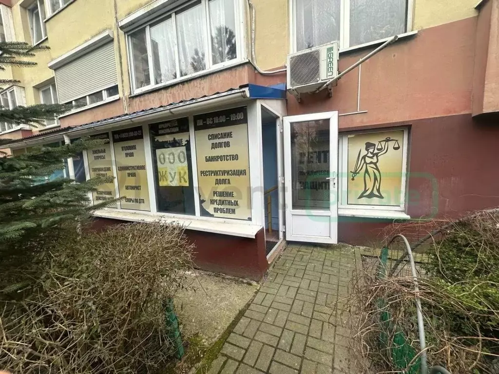Офис в Калининградская область, Калининград Сельма мкр, ул. Виллима ... - Фото 1