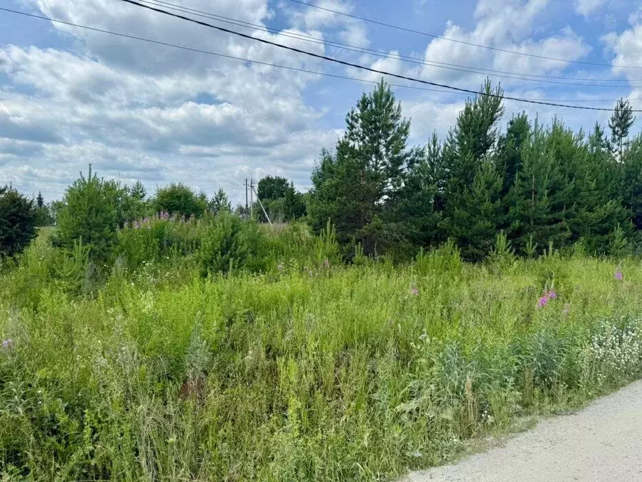 Участок в Свердловская область, Белоярский муниципальный округ, д. ... - Фото 0