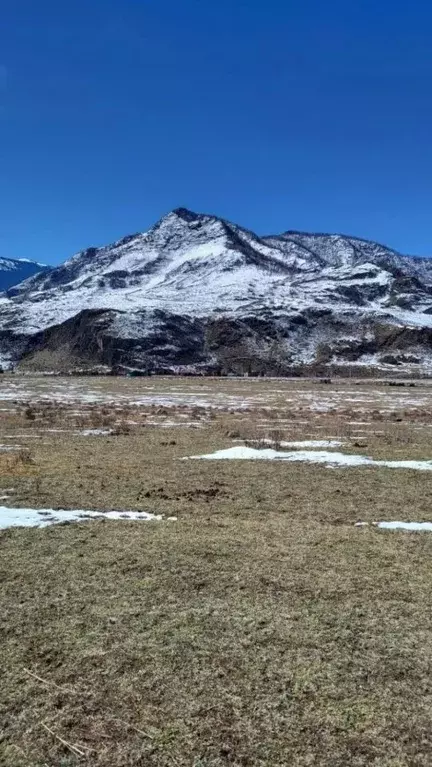 Участок в Алтай, Чемальский район, с. Куюс Центральная ул. (10.0 сот.) - Фото 2