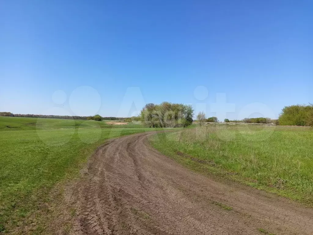 Участок 6,28 га (СНТ, ДНП) - Фото 1