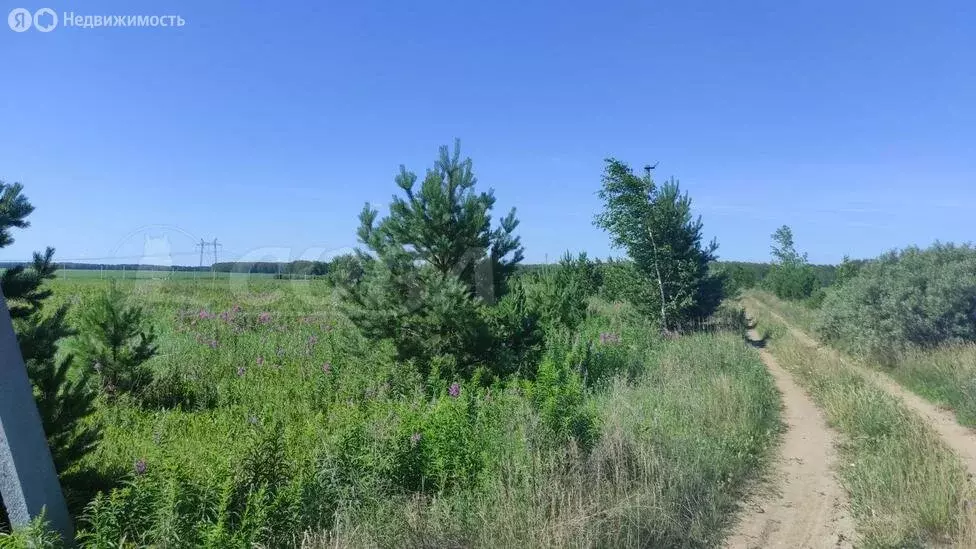 Участок в Тюменский район, село Каменка (9 м) - Фото 0