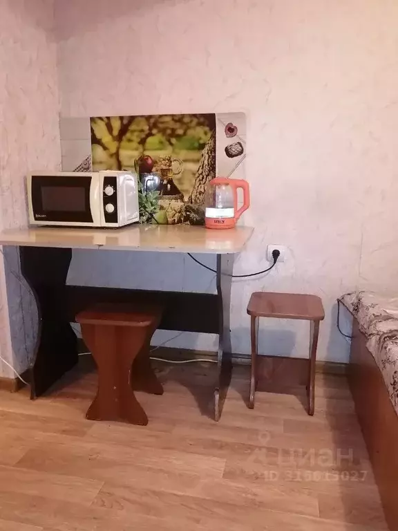 Студия Хакасия, Абакан просп. Дружбы Народов, 41А (20.0 м) - Фото 0