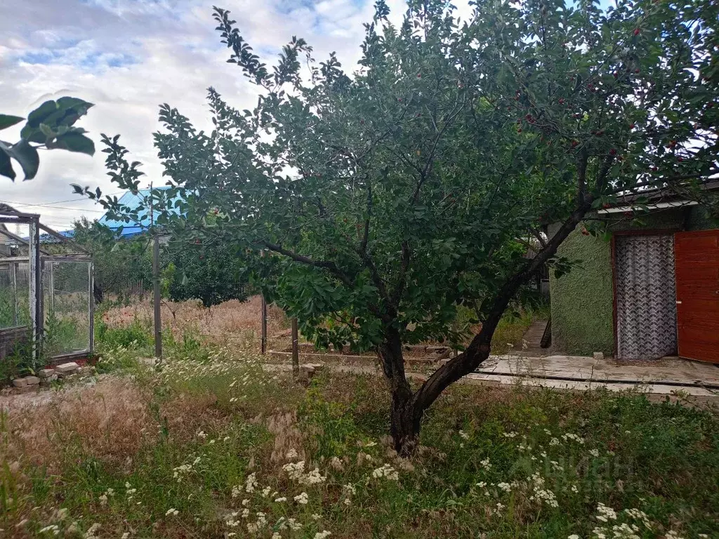 Дом в Волгоградская область, Средняя Ахтуба городское поселение, ... - Фото 2