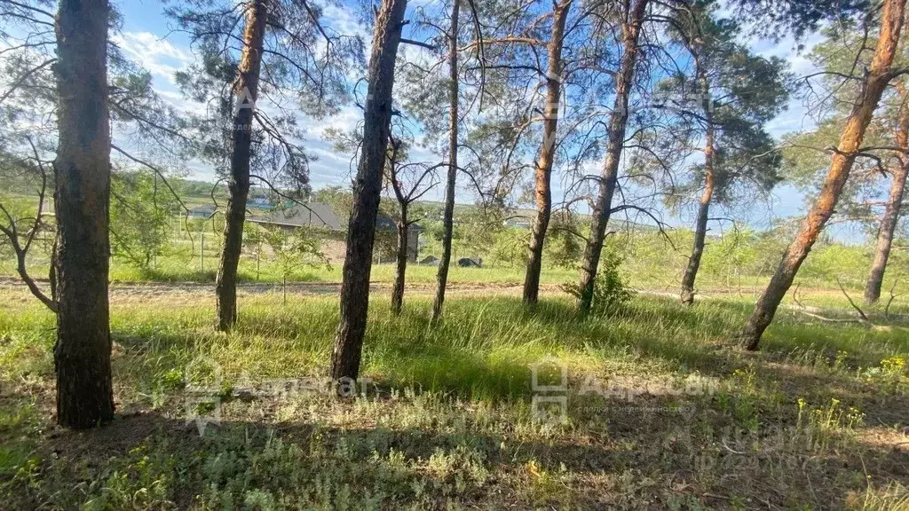 Участок в Волгоградская область, Волгоград ул. Артезианская (7.1 сот.) - Фото 0