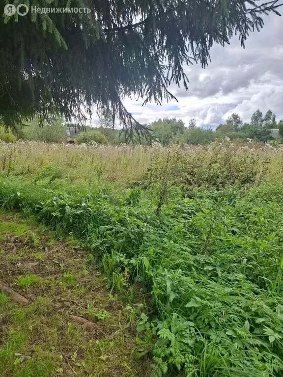 Участок в Московская область, городской округ Клин, деревня ... - Фото 1