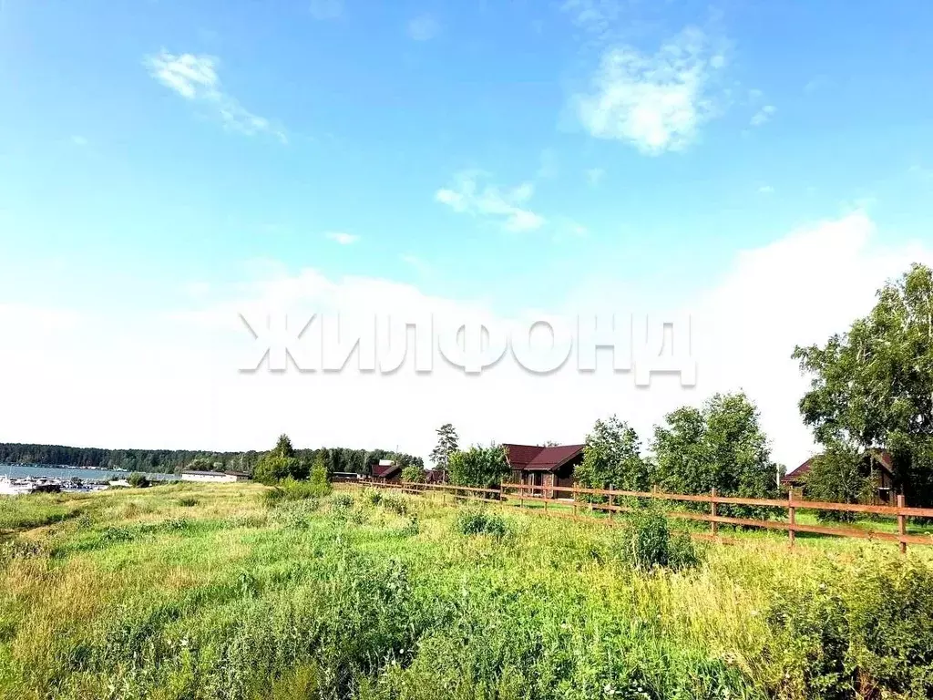 Участок в Новосибирская область, Новосибирский район, с. Боровое, ... - Фото 2