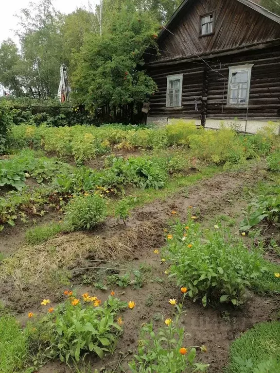 Дом в Коми, Сыктывкар ул. Папанина (45 м) - Фото 2