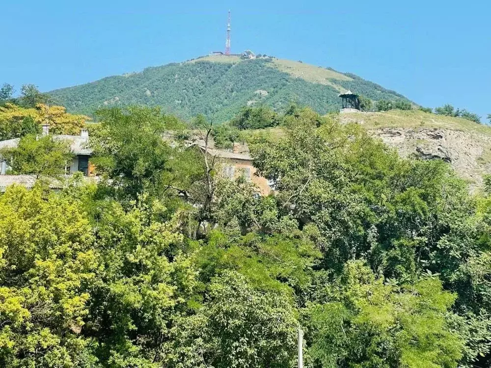 4-к кв. Ставропольский край, Пятигорск Партизанская ул., 1БК2 (180.0 ... - Фото 2