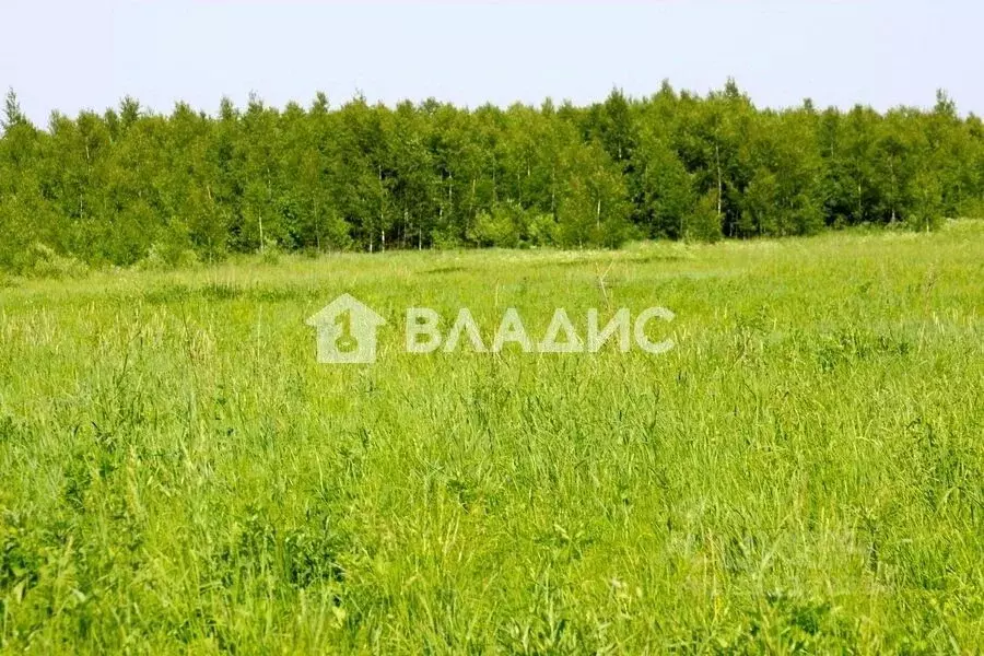 Участок в Нижегородская область, Семеновский муниципальный округ, д. ... - Фото 2