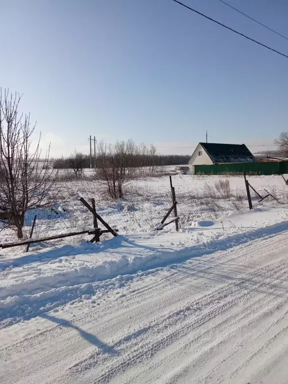 Участок в Саратовская область, Татищевский район, Идолгское ... - Фото 1