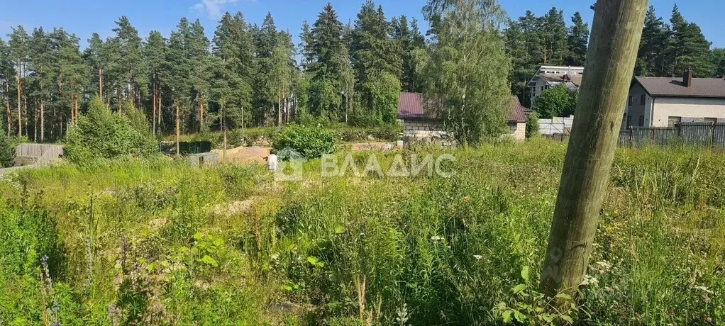 Участок в Ленинградская область, Выборгский район, Рощино пгт ул. ... - Фото 0