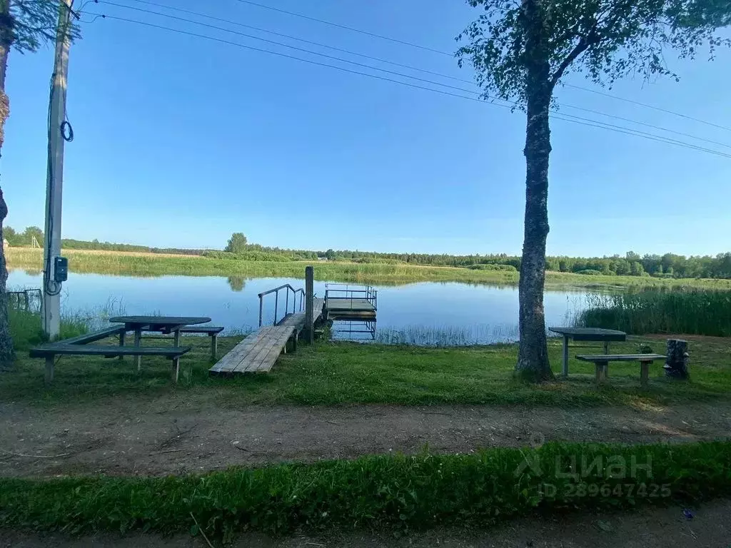 Дом в Тверская область, Осташковский муниципальный округ, д. Нижние ... - Фото 1