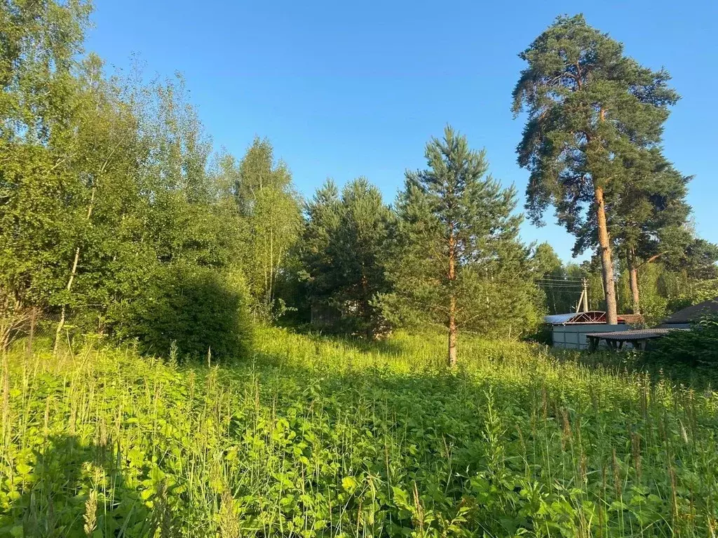 Участок в Московская область, Одинцовский городской округ, д. ... - Фото 1