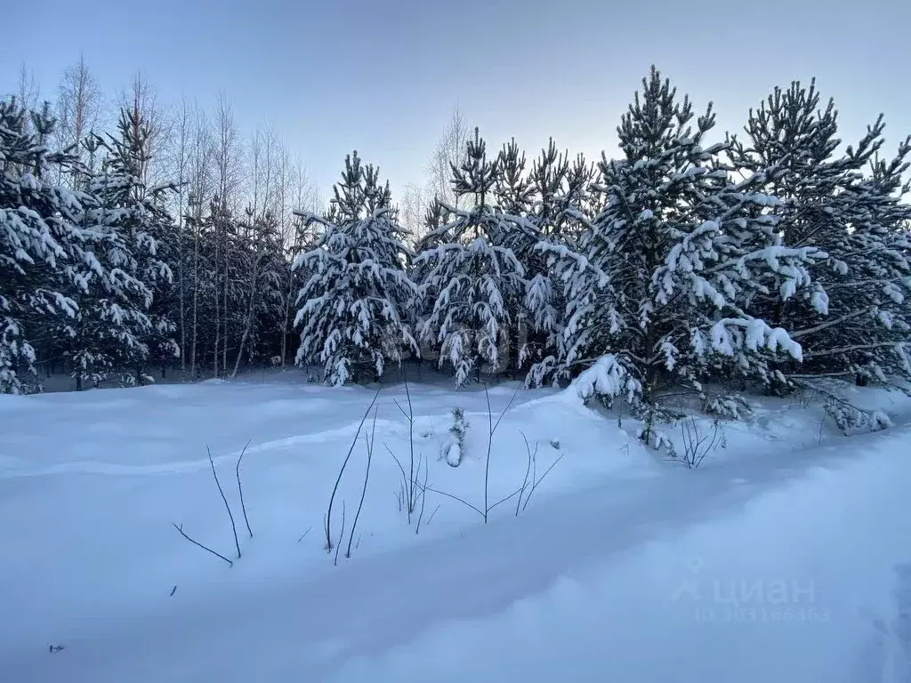 Участок в Свердловская область, Белоярский городской округ, пос. ... - Фото 0