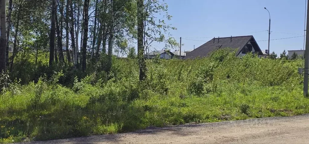 Участок в Москва 152-й кв-л,  (5.5 сот.) - Фото 2