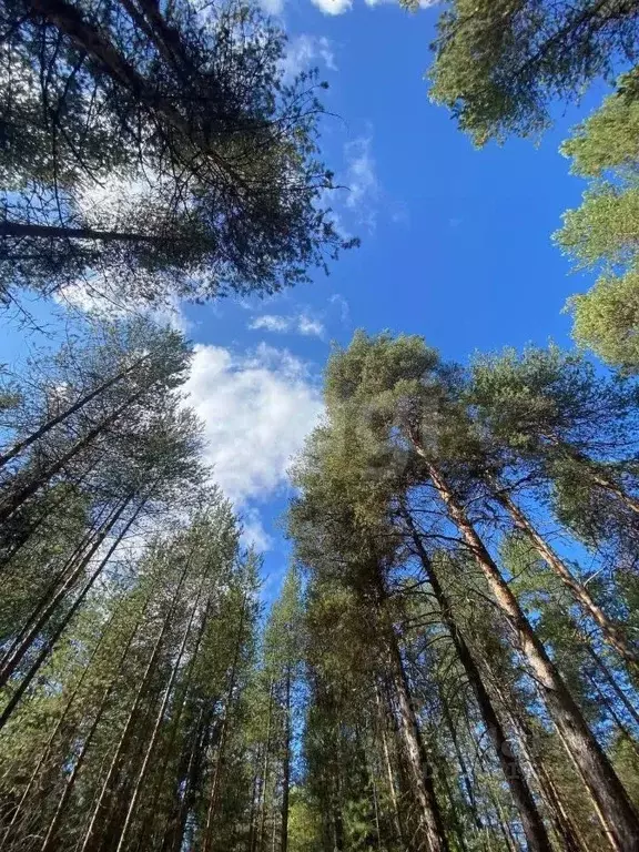 Дом в Коми, Ухта муниципальный округ, пос. Веселый Кут 26 (64 м) - Фото 0